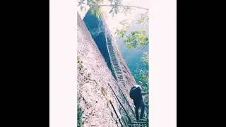 @Mawryngkhang Bamboo Trail Trek