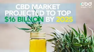 CBD Market Projected to top $16 Billion by 2025 | CBD Now
