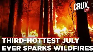 Wildfires Rage From Turkey To Canada Amid Third-hottest July worldwide | Global Warming
