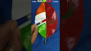 Beauty of Indian Flag and Turkey Flag || Independence Day Art || Republic Day |#art #artist