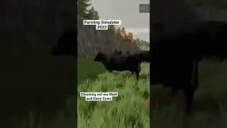 Checking out our Beef and Dairy Cows | Farming Simulator 2022