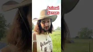 Instintos naturales de los animales