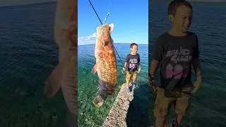 РЫБОЛОВНАЯ ПРИМАНКА 🎣😂🏝️🇵🇼 #рыбалка #тихоокеанскийостров