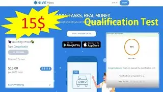 Hive Work / Searching 4 Food Qualification Test