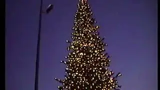 Christmas Lights - Galleria Area