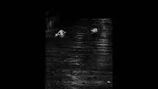 POPOLAC - Sprouts and Tendrils