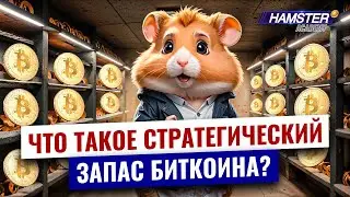 Биткоин: новый глобальный резерв ⚡️ Hamster Academy