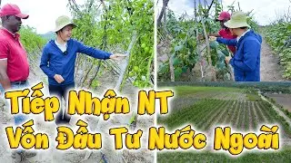 CƠ HỘI TRỜI CHO, Được Tiếp Quản N&ocirc;ng Trại Khủng C&Oacute; VỐN ĐẦU TƯ NƯỚC NGO&Agrave;I 1000 H&eacute;cta