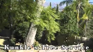 Kunkle's Tree Service Video | Tree Service in Laceyville