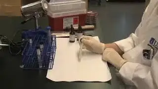 Nitrate reduction test 😍😍@Lablife-k3q