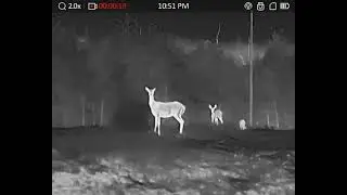 AGM SEEKER TEST DEER