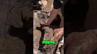 Похоже на бесконечную веревку! 😂