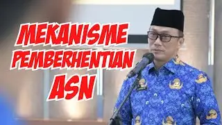 Resmi Dari BKN !!! Mekanisme Pemberhentian PPPK dan PNS