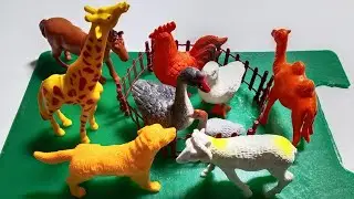 Mini Animal Toys ASMR 🐪🐎🐑🦆 | Satisfying Tapping Sounds & Wood Barrier