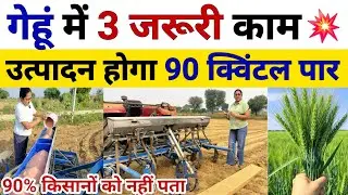 2025 में गेंहू की वैज्ञानिक खेती | Gehu Ki Kheti Kaise Kare | Gehu Ki Kheti | gehu ki top variety 