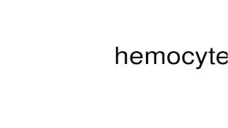 How to pronounce hemocyte