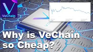 Why is VeChain (VET) still so Cheap? | How can VeChain (VET) Explode? | FBE Capital