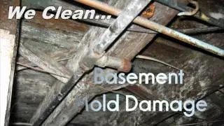 Mold Damage Restoration HD