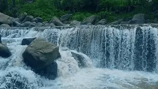 Gentle River Water Moving Through Nature &ndash; Ambient Soundscape for Studying, Sleep, and Calm