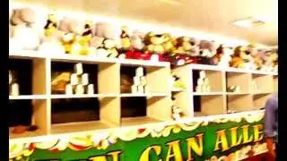 #Iwantoneofthose #BrightonPier #tombola