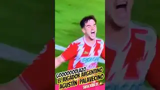 QUE GOLAZO METI&Oacute;  PALAVECINO  AL AM&Eacute;RICA DE  Andr&eacute; Jardine#ligamx #futbol #tucson #coach