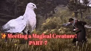Attending My First Beast Class & Meeting a Majestic Hippogriff! 🦅 | Hogwarts Legacy Gamepla #7