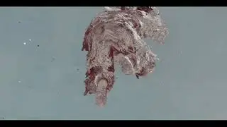 My parts of the Native Best of TT