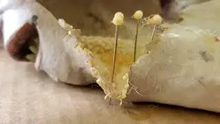 How to repair timmy tumbles dry rotting latex!