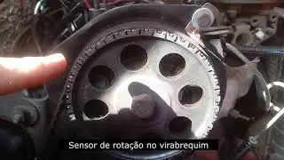 POR DENTRO DA GARAGEM (SPEEDUINO)