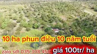 10 ha phun điều kinh doanh nhà ao đầy đủ giá 100tr/ha 