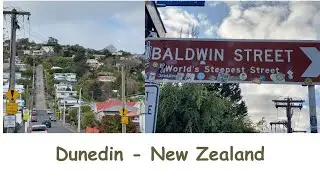 Let's go -  Baldwin Street - Worlds steepest street  - Dunedin -  New Zealand