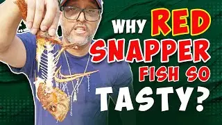 Reviewing red snapper at Kwetu African restaurant! Louisville | Kentucky