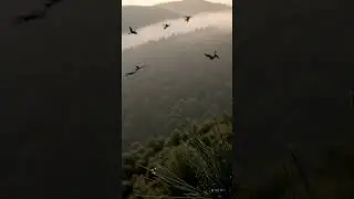 Foggy Morning in the Hills #calm #hills #morning #shorts
