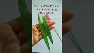 Membuat bunga Lavender dari plastik bekas detergent