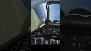 DCS World Su-27 dogfight vs F-18 in PVP server guns only bfm #dcsworld #dogfight #bfm