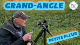 Bonne ou mauvaise id&eacute;e, le grand-angle pour photographier les fleurs en for&ecirc;t.