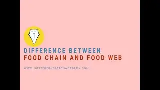 NEET | Difference between Food Chain and Food | JUPITER EDUCATION ACADEMY