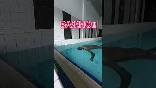STAпрОфиты #apnoe #фридайвинг #swim