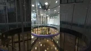 FlyStation Japan①
