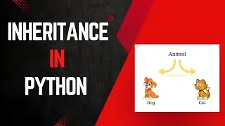 Inheritance in Python Programming Language