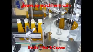 Mango Fresh Juice Processing Line