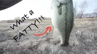 Texas Rigs in the rain for BIG Bass!!