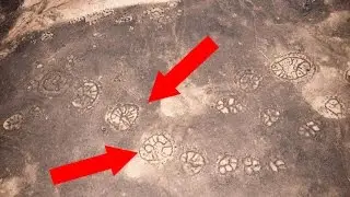 7 Things We Don't Know About Earth