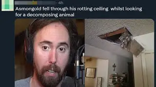 Asmongold Situation is Actually Tragic