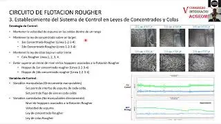 Optimizacion en el circuito de Flotacion y Remolienda - Minera Panama