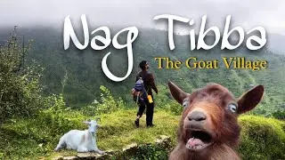 Nag Tibba Trek 2025 | Complete Travel Guide & Budget for Nag Tibba | Weekend Treks in Uttarakhand