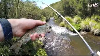 ULTRALIGHT Wild Trout Fishing in Kenya