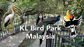 Taman burung kuala lumpur 2022 | kl bird park 2022 | #klbirdpark #kualalumpur