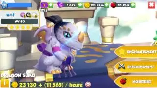 DRAGON sUMO