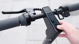 T4 MAX Long Range Electric Scooter
